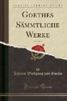 Johann Wolfgang von Goethe - Goethes Sämmtliche Werke, Vol. 7 of 15 (Classic Reprint)