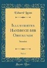 Eduard Lucas - Illustrirtes Handbuch der Obstkunde, Vol. 6