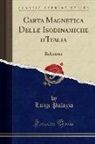 Luigi Palazzo - Carta Magnetica Delle Isodinamiche d'Italia
