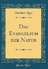 Heribert Rau - Das Evangelium der Natur (Classic Reprint)