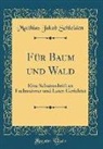 Matthias Jakob Schleiden - Für Baum und Wald