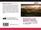 María Fernanda Romero Aguirre - Small towns in the strategic region of Altillanura, Colombia
