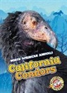 Rebecca Sabelko - California Condors