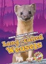 Rebecca Sabelko - Long-Tailed Weasels