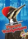 Rebecca Sabelko - Pileated Woodpeckers