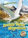 Kari Schuetz - Arctic Tern Migration