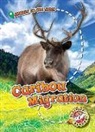 Kari Schuetz - Caribou Migration