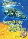 Kari Schuetz - Humpback Whale Migration