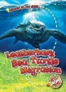 Kari Schuetz - Leatherback Sea Turtle Migration