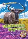Kari Schuetz - Wildebeest Migration