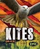 Nathan Sommer - Kites