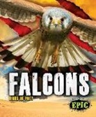 Nathan Sommer - Falcons