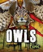 Nathan Sommer - Owls