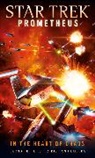 Christian Humberg, Christian Perplies Humberg, Humberg Christian, Bernd Perplies - Star Trek Prometheus - In the Heart of Chaos