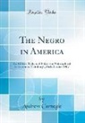Andrew Carnegie - The Negro in America