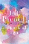 Jodi Picoult - A Spark of Light