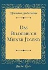 Hermann Sudermann - Das Bilderbuch Meiner Jugend (Classic Reprint)