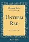 Hermann Hesse - Unterm Rad (Classic Reprint)