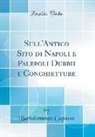 Bartolommeo Capasso - Sull'Antico Sito di Napoli e Palepoli Dubbii e Conghietture (Classic Reprint)