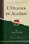 Louis Trabut - L'Olivier en Algérie (Classic Reprint)
