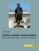 Julius Vogel - Goethes Leipziger Studentenjahre