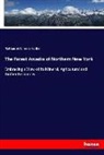Nathaniel Wheeler Coffin - The Forest Arcadia of Northern New York