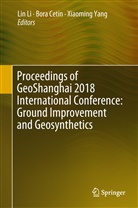 Bor Cetin, Bora Cetin, Lin Li, Xiaoming Yang - Proceedings of GeoShanghai 2018 International Conference: Ground Improvement and Geosynthetics