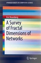 Eric Rosenberg - A Survey of Fractal Dimensions of Networks