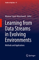 Moama Sayed-Mouchaweh, Moamar Sayed-Mouchaweh - Learning from Data Streams in Evolving Environments