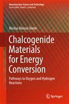 Nicolas Alonso Vante, Nicolas Alonso-Vante - Chalcogenide Materials for Energy Conversion