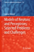 Andrzej Bielecki - Models of Neurons and Perceptrons: Selected Problems and Challenges
