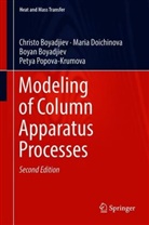 Bo Boyadjiev, Boyan Boyadjiev, Christ Boyadjiev, Christo Boyadjiev, Mari Doichinova, Maria Doichinova... - Modeling of Column Apparatus Processes