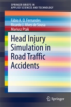 Ricardo Alves de Sousa, Ricardo J Alves de Sousa, Ricardo J. Alves de Sousa, Fábio A Fernandes, Fábio A O Fernandes, Fábio A. O. Fernandes... - Head Injury Simulation in Road Traffic Accidents