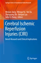 Weijian Jiang, Benyan Luo, Yan Qu, Yan Qu et al, Zhongsong Shi, Wengu Yu... - Cerebral Ischemic Reperfusion Injuries (CIRI)