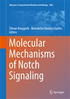 Tilma Borggrefe, Tilman Borggrefe, Daniele Giaimo, Daniele Giaimo, Benedetto Daniele Giaimo - Molecular Mechanisms of Notch Signaling