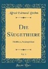 Alfred Edmund Brehm - Die Säugethiere, Vol. 3