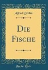 Alfred Brehm - Die Fische (Classic Reprint)