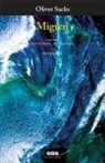Oliver Sacks - Migren