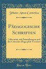 Johann Amos Comenius - Pädagogische Schriften