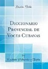 Estéban Pichardo y Tapia - Diccionario Provincial de Voces Cubanas (Classic Reprint)