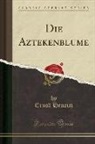 Ernst Henrici - Die Aztekenblume (Classic Reprint)