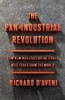 Richard D'Aveni - The Pan-Industrial Revolution