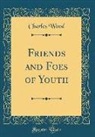 Charles Wood - Friends and Foes of Youth (Classic Reprint)