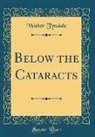 Walter Tyndale - Below the Cataracts (Classic Reprint)