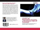 Miguel Angel Campuzano Lupera - Analisis de Proveedores de Corte y Reconexion CNEL EP Guayaquil