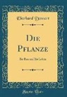 Eberhard Dennert - Die Pflanze