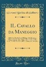 Giovanni Battista di Galiberto - IL Cavallo da Maneggio