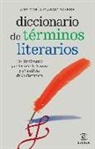 Ana María Platas Tasende - Diccionario de términos literarios