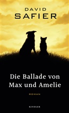 David Safier - Die Ballade von Max und Amelie