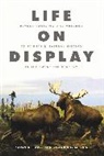 Victoria E M Cain, Victoria E. M. Cain, Cain Victoria E. M., Karen a Rader, Karen a Cain Rader, Karen A. Rader... - Life on Display